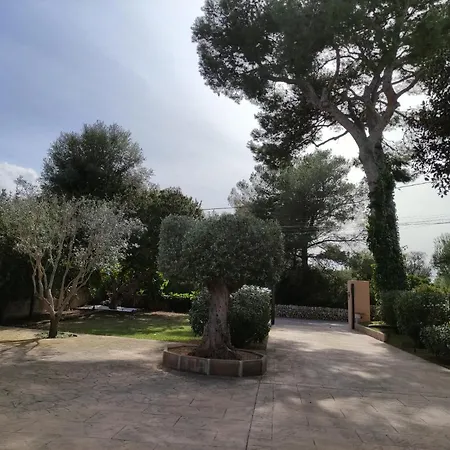 Villa Mestral Alcudia  Exterior photo
